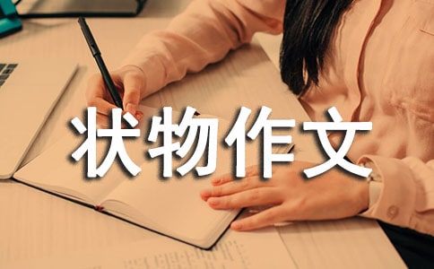 ĸ��״������