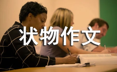 ʵ�õ����꼶״������300�ּ�����ƪ