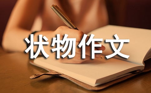 精选状物作文集锦七篇