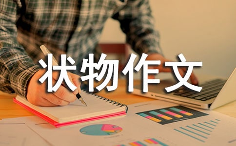 ���Ƽ���״�����ļ��ϰ�ƪ