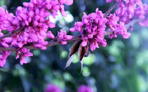 �Ͼ���������