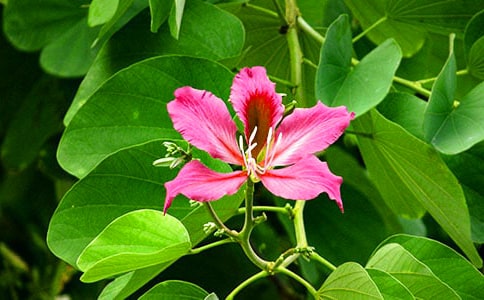 �Ͼ������ĺϼ�15ƪ