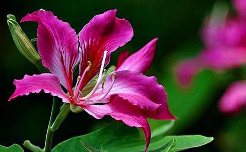 �Ͼ���������