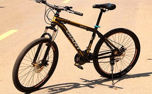 骑自行车的作文