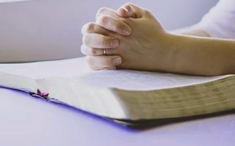 小学美术国培总结