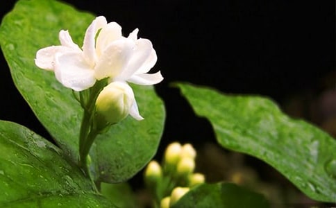 ʵ�õ������꼶���Ļ��ܾ�ƪ