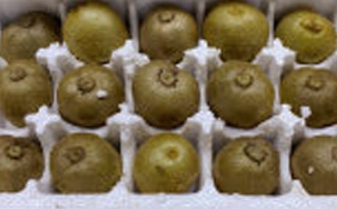 ⨺��ҵ�����