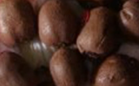 摘猕猴桃作文(8篇)