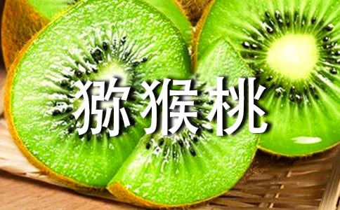 摘猕猴桃作文(集合8篇)