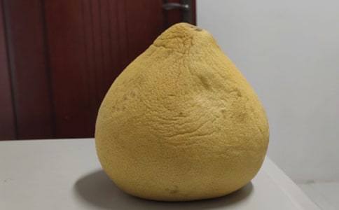 ���ӵ����ļ���15ƪ