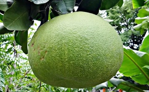 ����״������