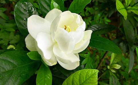 �������ӻ�������