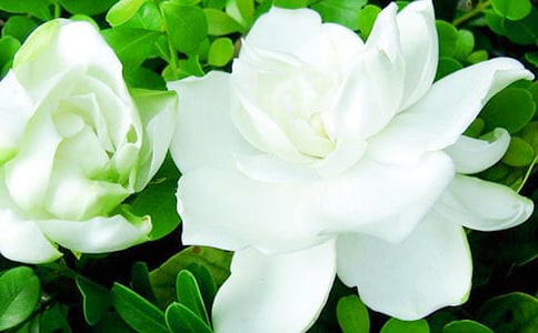 ���ӻ������ľ�ѡ7ƪ