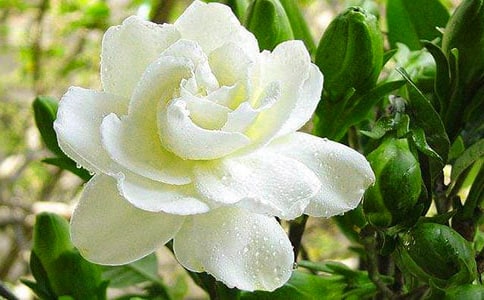 ��Ĩ���������ӻ����Ŀ������