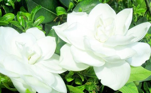 ���ӻ�������[����15ƪ]