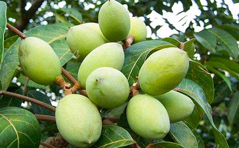 ���������5ƪ