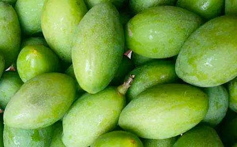 ��Ҳ�ι����������