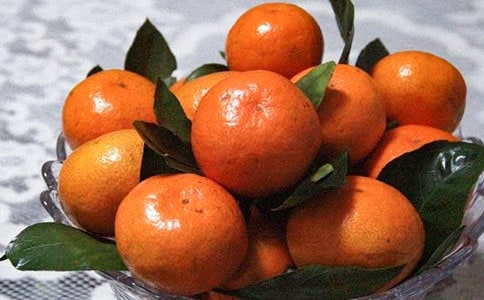 ��������ζ�����졷�и�