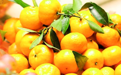 可爱的橘子作文