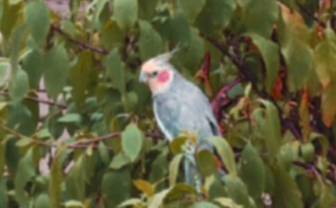 �Ҽҵ��������Ļ���(15ƪ)