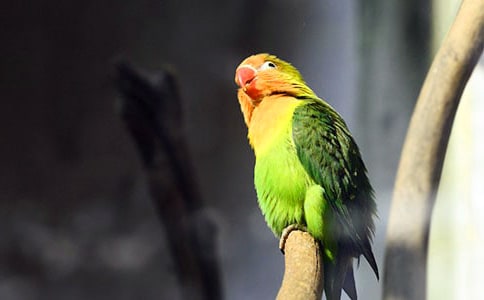 �ɰ���С�������Ļ��(15ƪ)