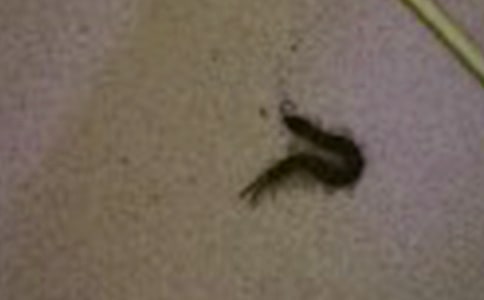 ��д���ľ���