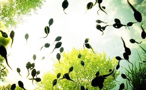 ����Ʒ��С�������15ƪ