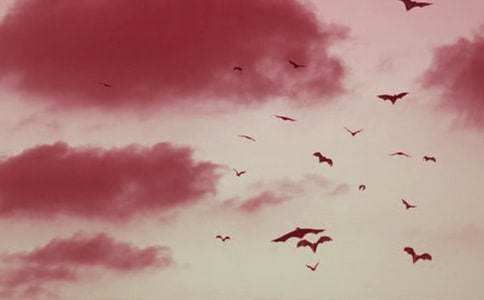 ����������2ƪ[����]