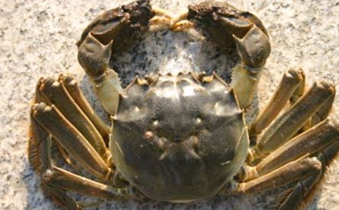 �з������