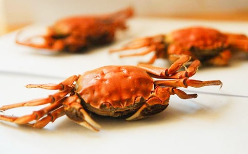 Сѧ���꼶���ģ�ץ�з