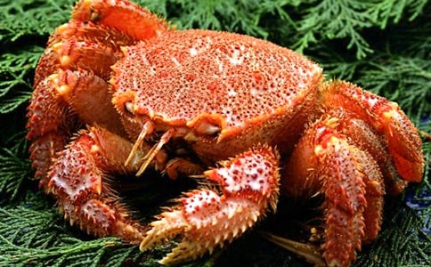 【热】吃螃蟹作文