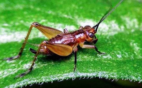 ���סլ���ģ��Ƽ���