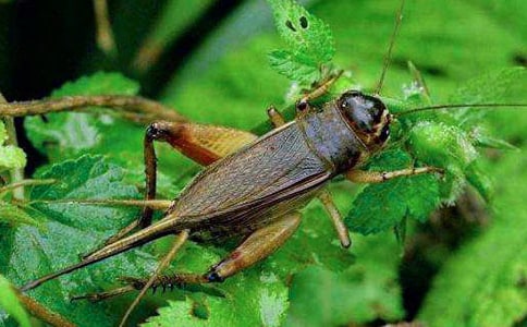 ��д�������