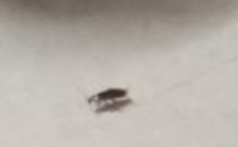 ���������14ƪ