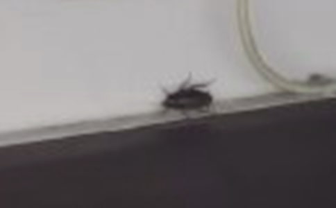 ���������(���13ƪ)