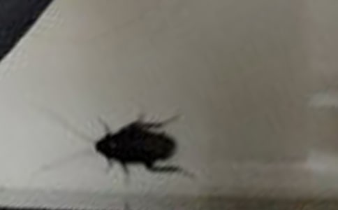 ���������(�ϼ�14ƪ)