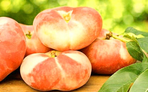 ���ٹ�������һᡱ��߻���