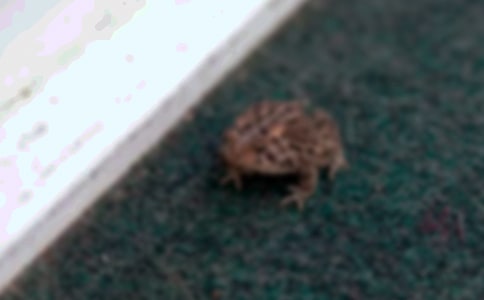 ��ܵ����ģ���ѡ18ƪ��