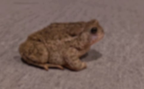 ��ܵ���������