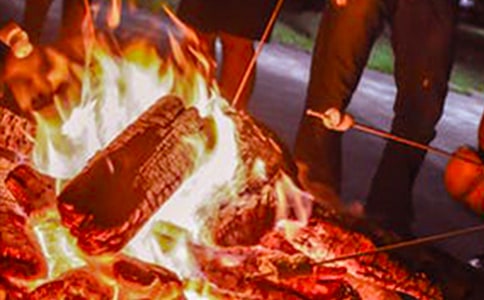 �����������ġ�����