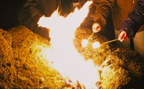 难忘的篝火晚会作文2篇