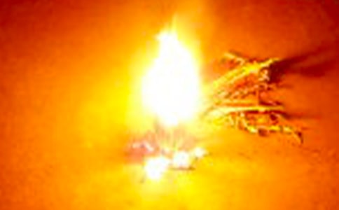 篝火晚会作文汇编15篇