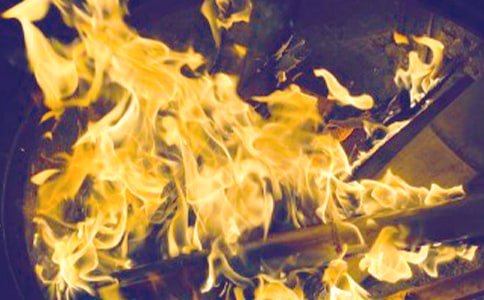 篝火晚会作文【经典】