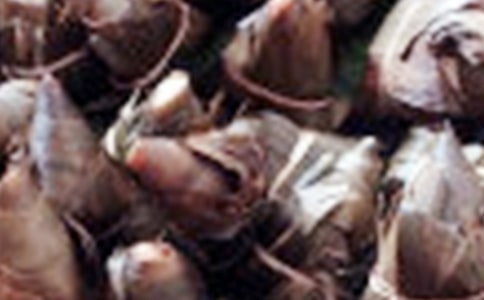 [����]����������10ƪ