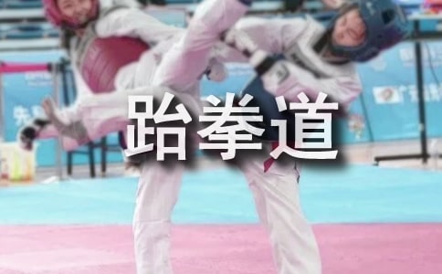 我爱跆拳道作文14篇