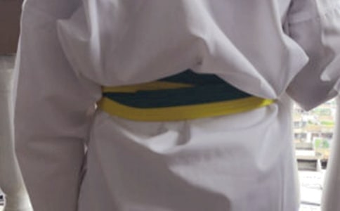 初学跆拳道作文5篇