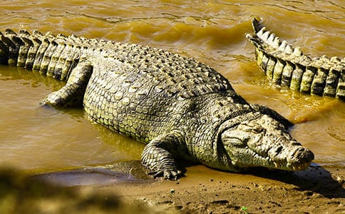 �������������