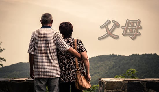 帮父母做家务作文