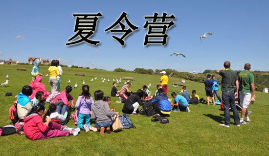 ����Ӫ��ѵ�ܽ�