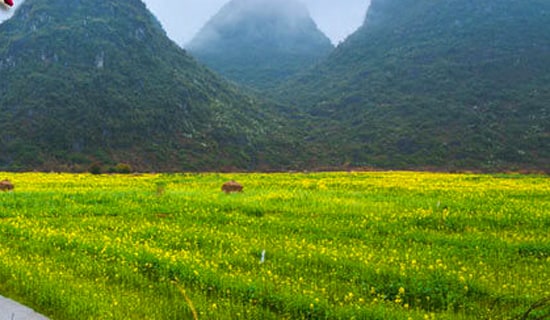 ��ѡһ�δ��ε�����4ƪ